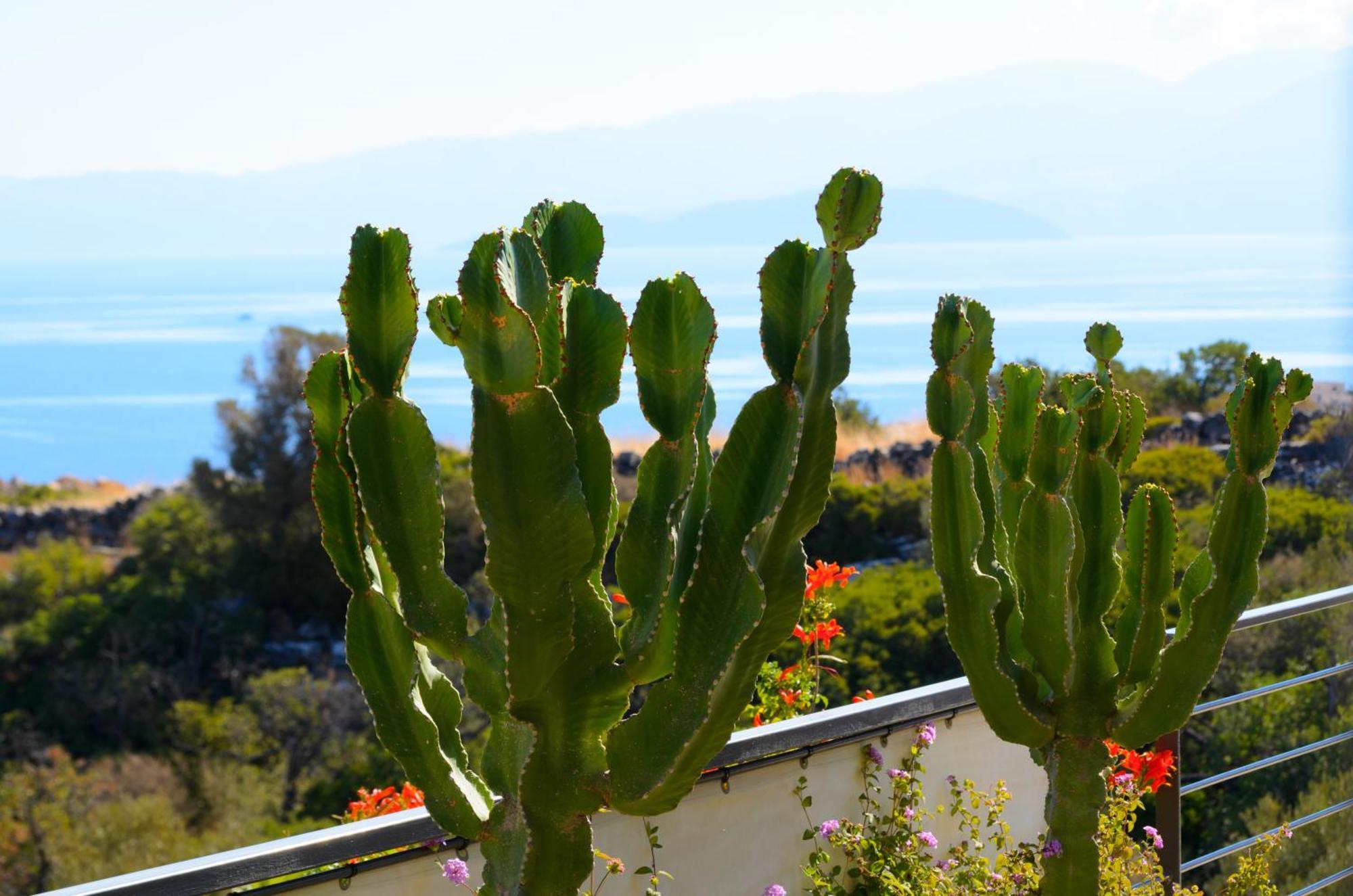 Anemos Elounda Villas Εξωτερικό φωτογραφία